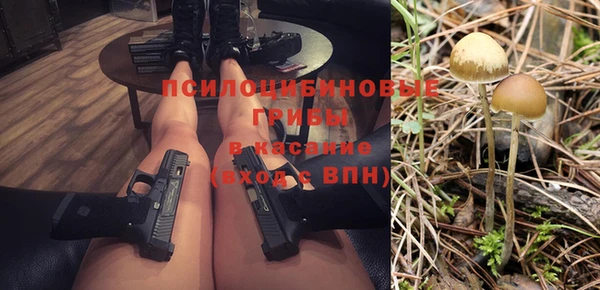 PSILOCYBIN Абаза