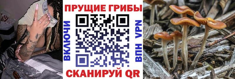 Галлюциногенные грибы мицелий  магазин продажи наркотиков  Лангепас 
